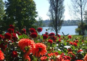 Бодензее - Баварски замъци - Залцбург - Мюнхен