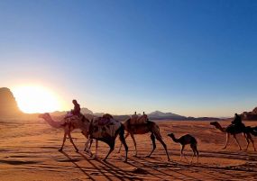 Йордания - четиридневна