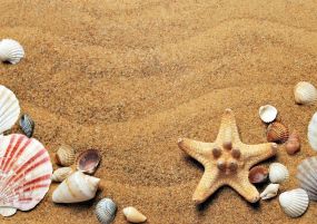 Почивка в Айвалък