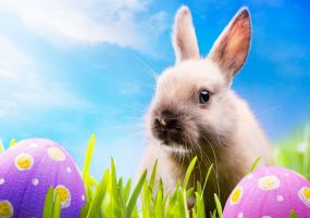 Почивка в ИСПАНИЯ - Великден на Коста дел Сол