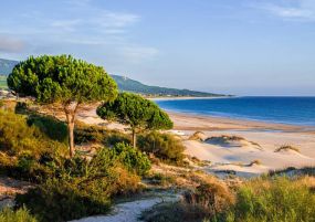 НОВА ГОДИНА в южна Испания, на брега на Испанските Кариби - Кадис и Коста де ла Лус! С включена обиколка на Кордоба и Мадрид!