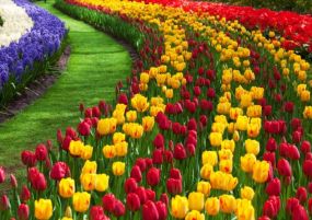 Великден в Истанбул, Турция - Фестивал на лалетата с автобус от Варна - 3 нощувки