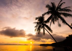 Почивка в Дидим, Турция с автобус от София- 12 нощувки