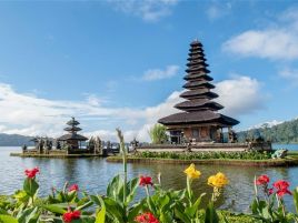 Настаняване по програмата