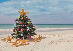Коледа под тунизийското слънце – All Inclusive почивка в Тунис с полет от Варна
