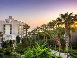 Sea Life Buket Beach