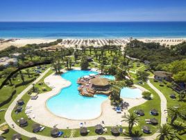 Sentido Phenicia Superior