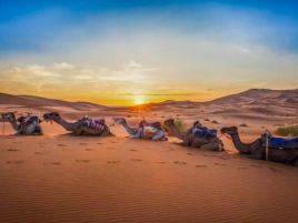 Настаняване по програмата