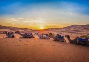 Средиземноморски Шепот - От Малага до Маракеш с полет от София 02.04