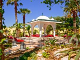 SIMBA CLUB - Samira Club Standard