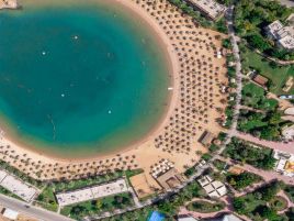 Desert Rose Resort Premium