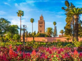 Настаняване по програмата