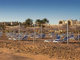 Gravity Sahl Hasheesh Premium