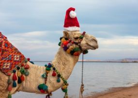 Нова Година - Почивка в Шарм Ел Шейх с чартър от Варна