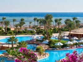 AMWAJ OYOUN HOTEL& RESORT