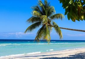 ПОЧИВКА НА ОСТРОВ ЯМАЙКА